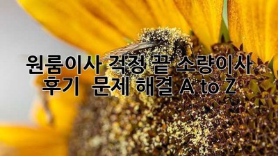 📦 원룸이사 걱정 끝! 소량이사 후기 & 문제 해결 A to Z 🔑